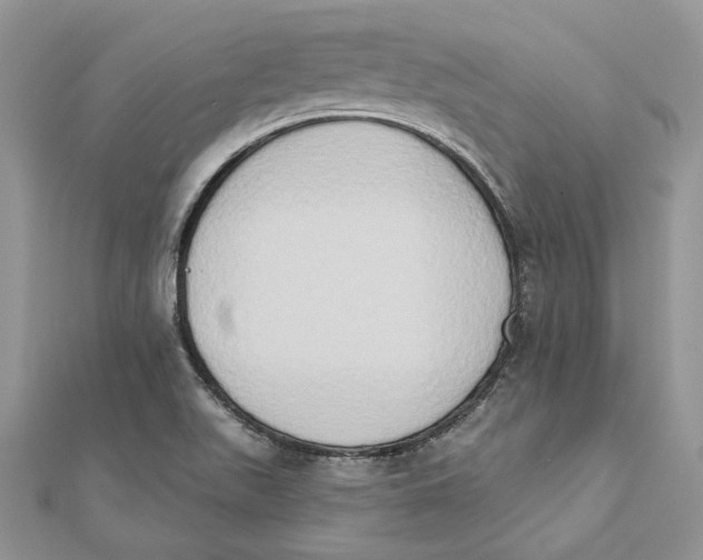 X0000111441511200908031342