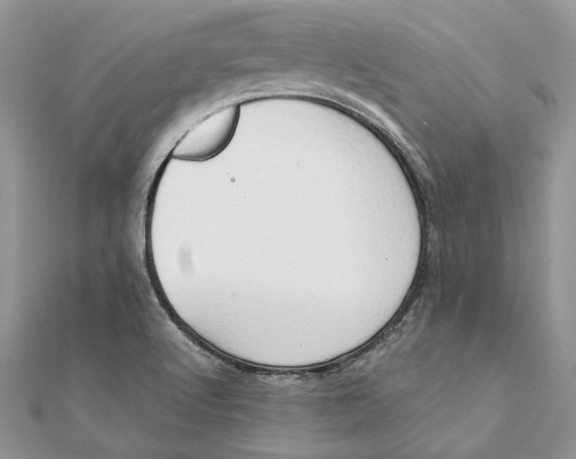 X0000111441512200908031342