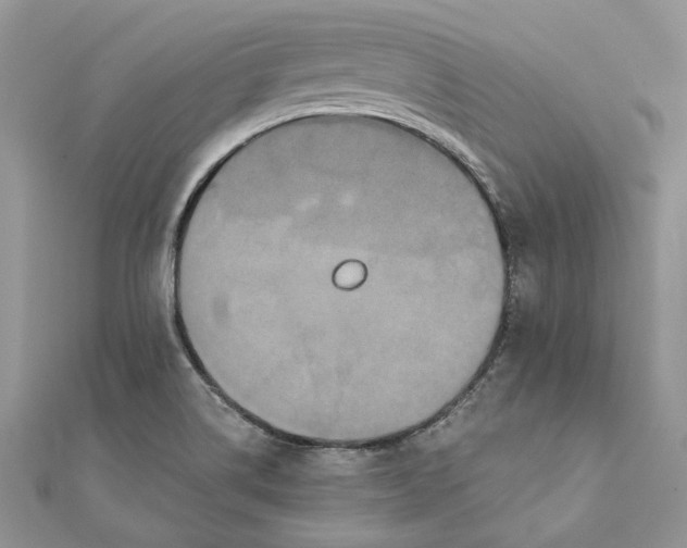 X0000111441514200908031342