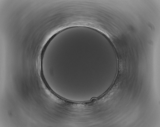 X0000111441515200908031342