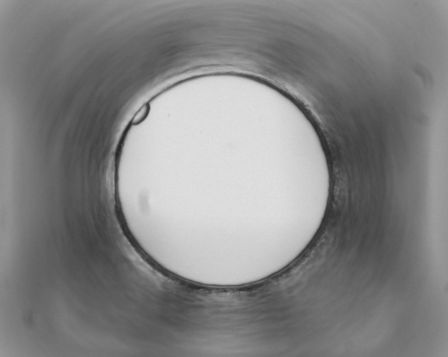 X0000111441516200908031342