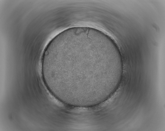 X0000111441517200908031342