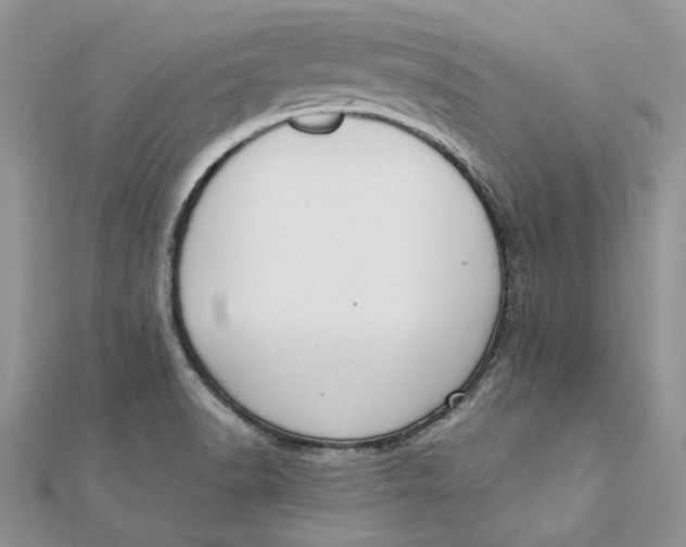 X0000111441518200908031342