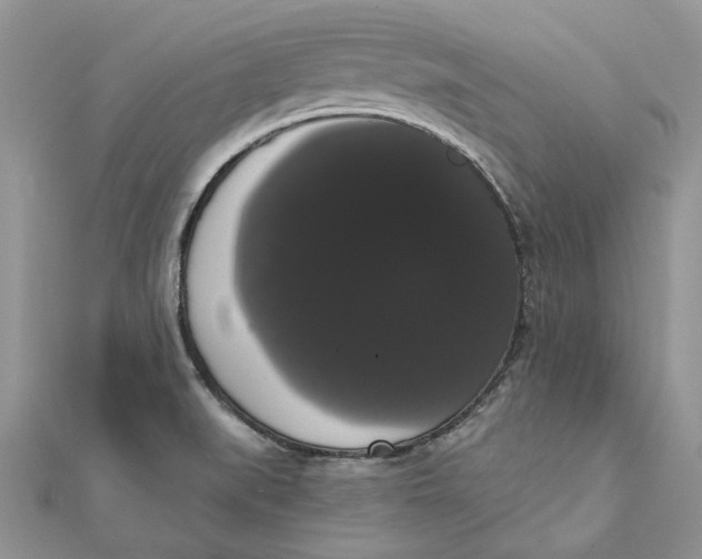 X0000111441519200908031342