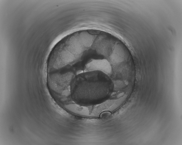 X0000111441522200908031342