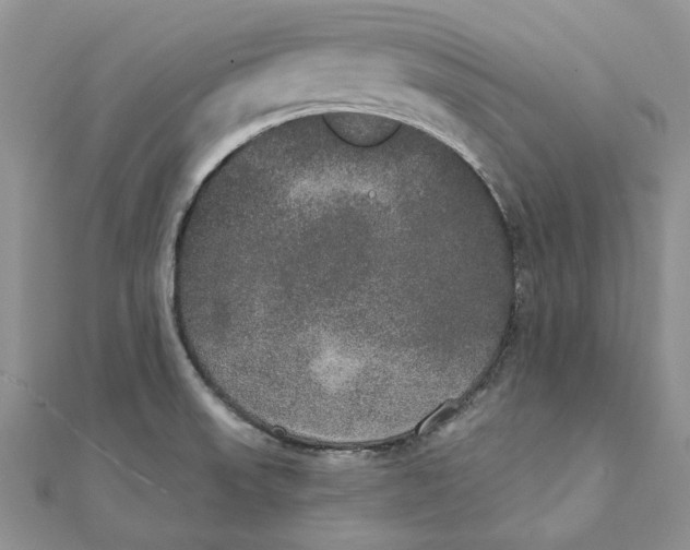 X0000111441523200908031342