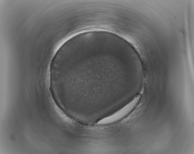 X0000111441524200908031342