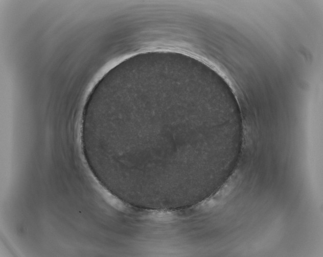 X0000111441525200908031342