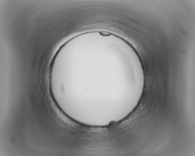 X0000111441526200908031342