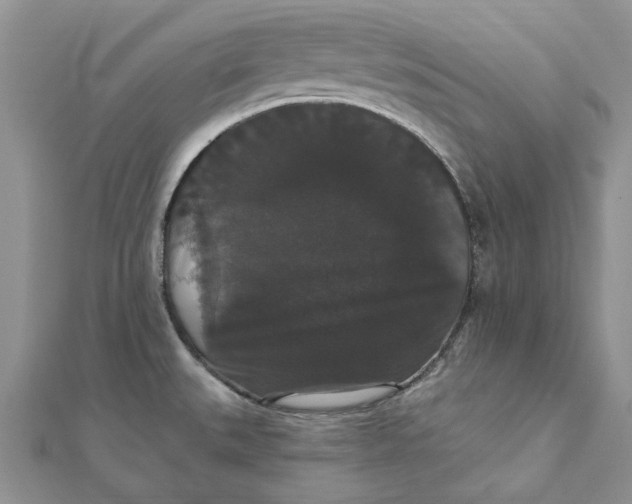 X0000111441527200908031342