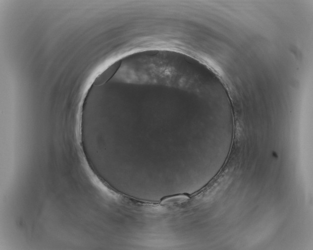 X0000111441528200908031342