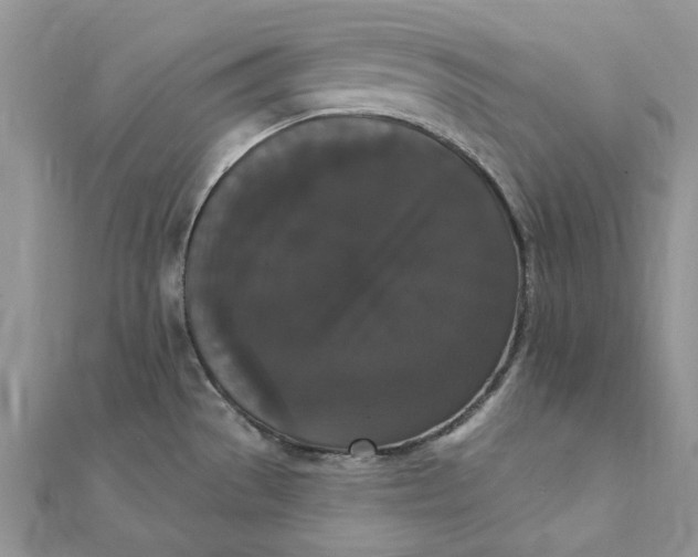 X0000111441529200908031342