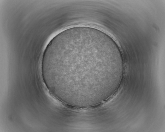 X0000111441530200908031342