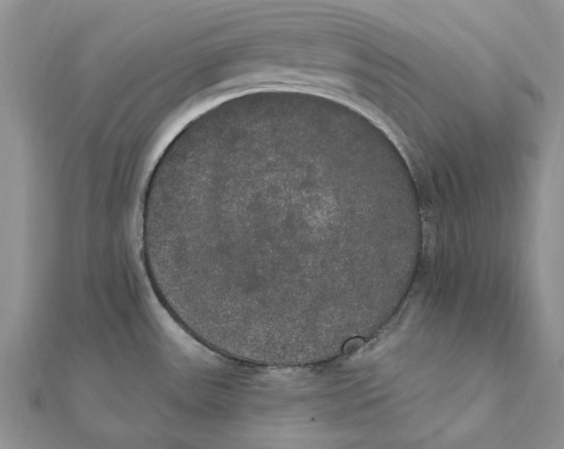 X0000111441531200908031342