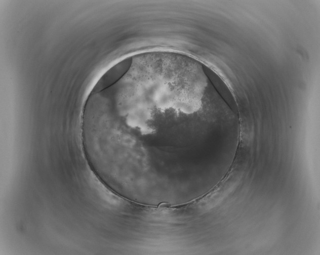 X0000111441532200908031342