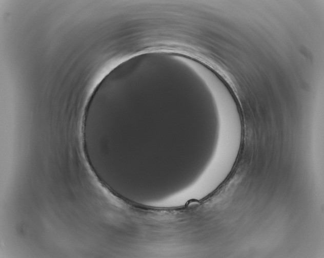 X0000111441533200908031342