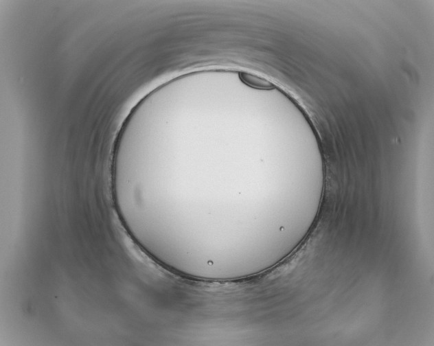 X0000111441534200908031342