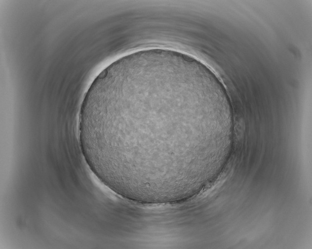 X0000111441535200908031342