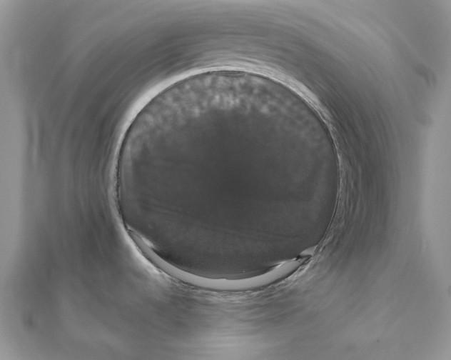 X0000111441536200908031342