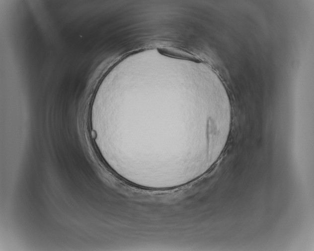 X0000111440001200908101024