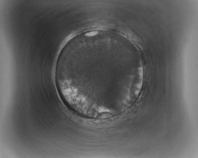 X0000111440003200908101024