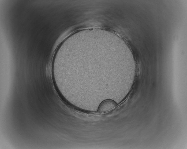 X0000111440004200908101024