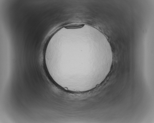 X0000111440005200908101024