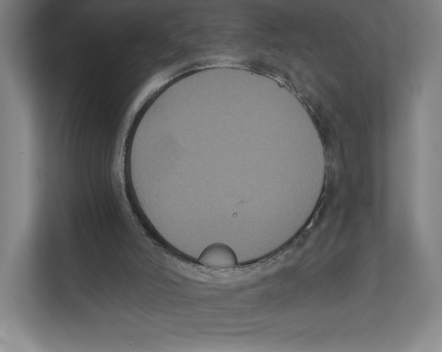 X0000111440006200908101024