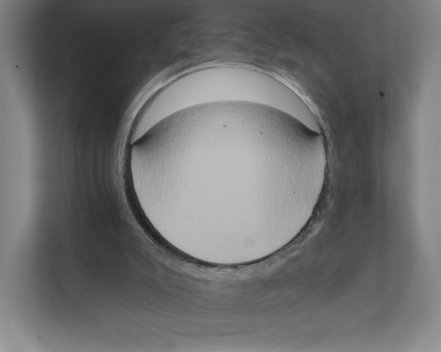 X0000111440007200908101024