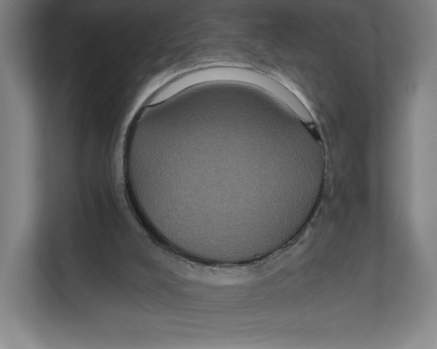 X0000111440008200908101024