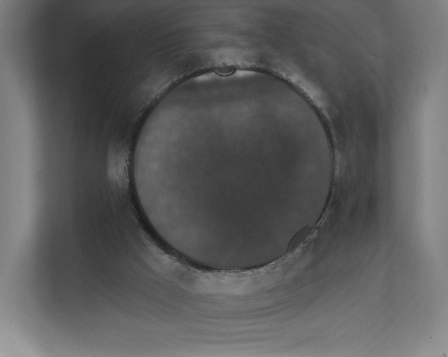 X0000111440009200908101024