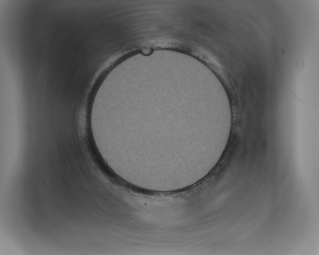 X0000111440012200908101024