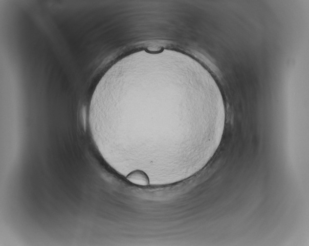 X0000111440013200908101024