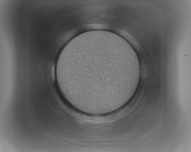 X0000111440014200908101024