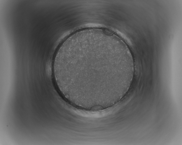 X0000111440015200908101024