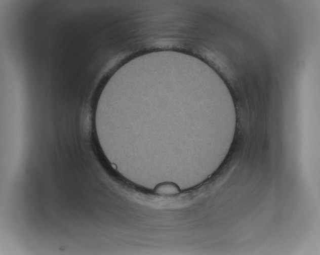 X0000111440016200908101024