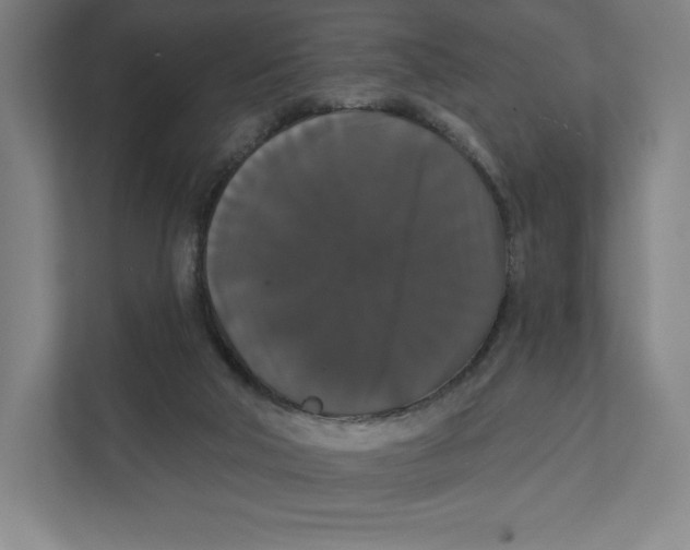 X0000111440018200908101023