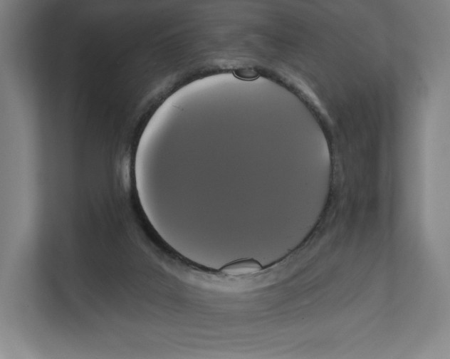 X0000111440019200908101023