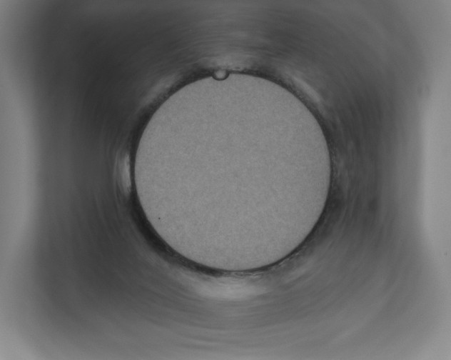 X0000111440020200908101023