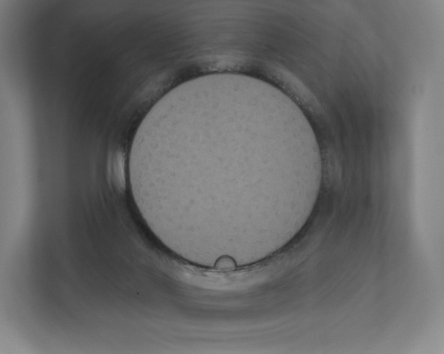 X0000111440022200908101023