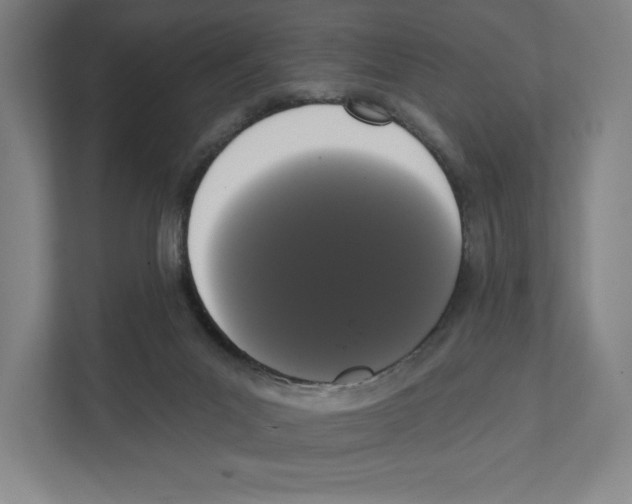 X0000111440023200908101023