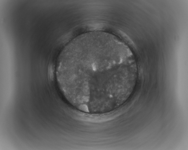 X0000111440026200908101023