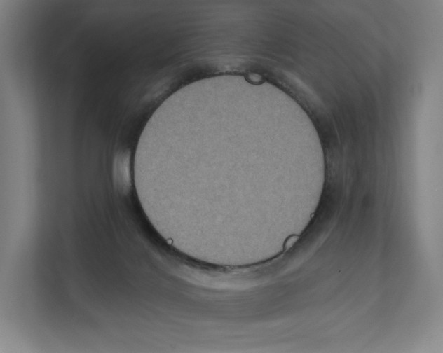 X0000111440028200908101023