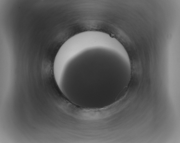 X0000111440029200908101023