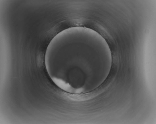 X0000111440030200908101023