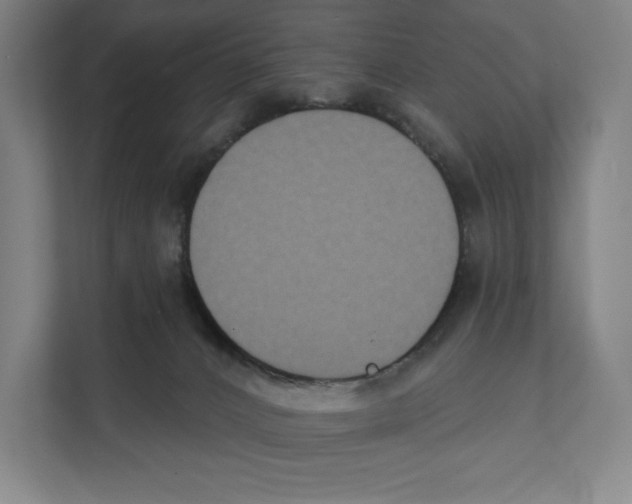 X0000111440032200908101023