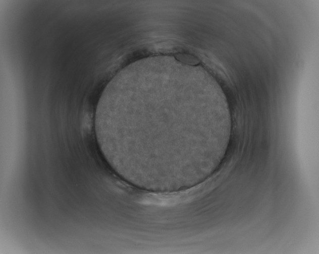 X0000111440033200908101023