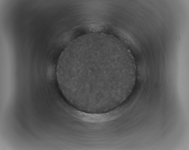 X0000111440034200908101023