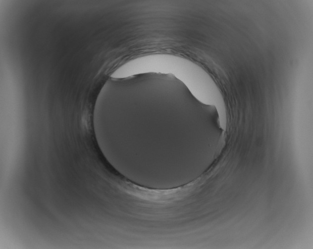 X0000111440035200908101023