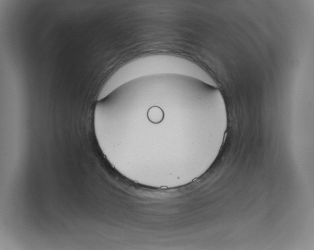 X0000111440036200908101023